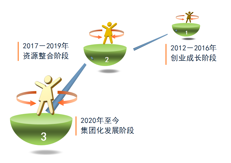 发展历程(图1)